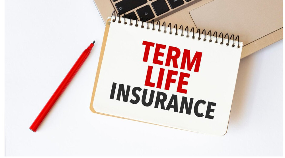 Why you should pick term insurance